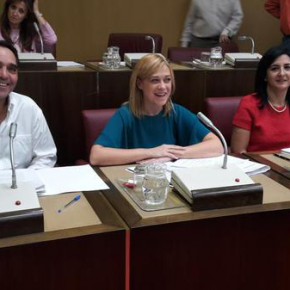 Ciudadanos Albacete celebra el “éxito” y la “eficacia” de sus mociones a lo largo de este 2015 Ciudadanos Albacete celebra el “éxito” y la “eficacia” de sus mociones a lo largo de este 2015