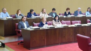 2016-11-03-pleno-ordenanzas-fiscales