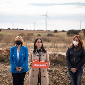 Arrimadas: “España tiene que ser una potencia mundial en energías renovables”